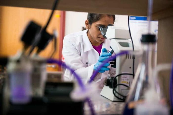 Student looking into Biological Microscope